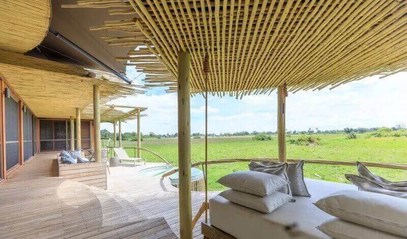 Is This the Best Safari Room in Botswana? A Look at Little Mombo