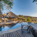 Molori Mashuma, Zimbabwe